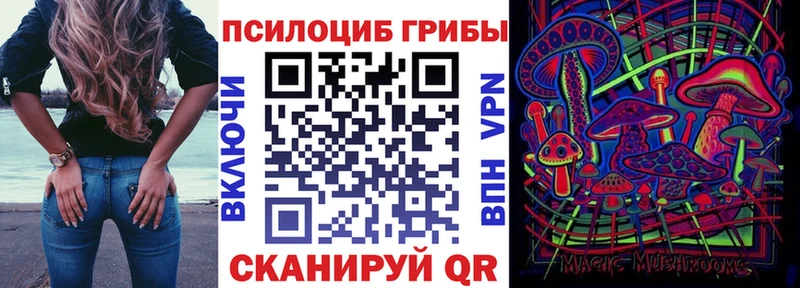 Галлюциногенные грибы мицелий  Зея 