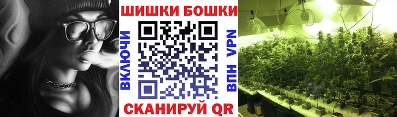 блэк спрут как зайти  купить наркотик  Зея  МАРИХУАНА White Widow 